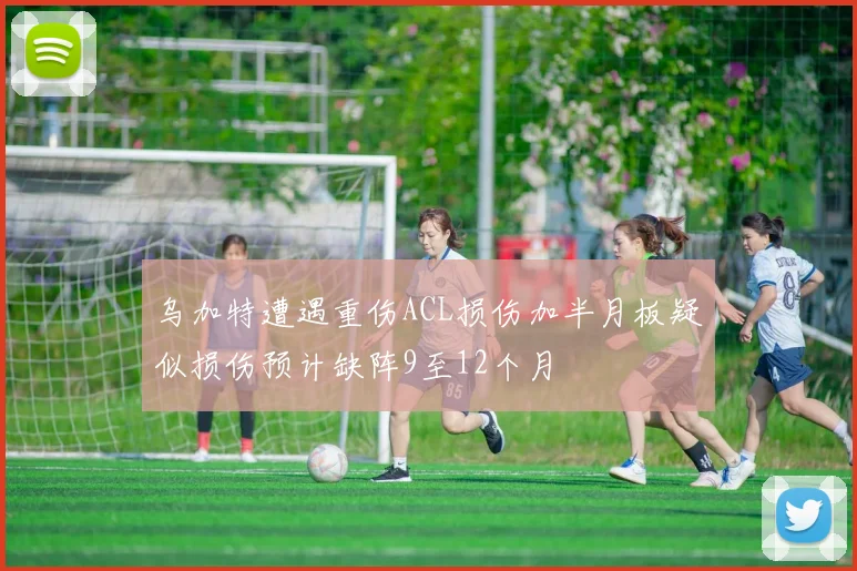 乌加特遭遇重伤ACL损伤加半月板疑似损伤预计缺阵9至12个月