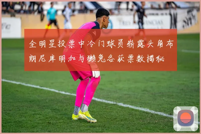 全明星投票中冷门球员崭露头角布朗尼库明加与獭兔各获票数揭秘