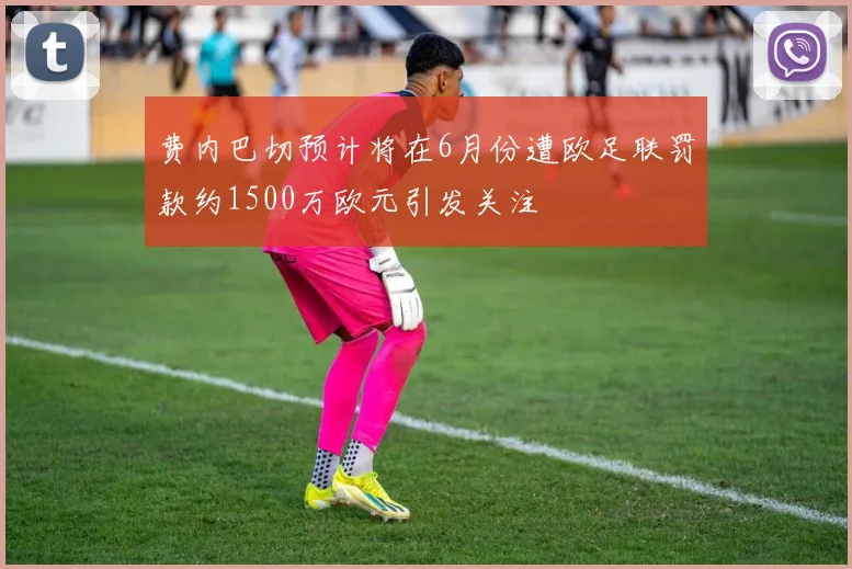 费内巴切预计将在6月份遭欧足联罚款约1500万欧元引发关注